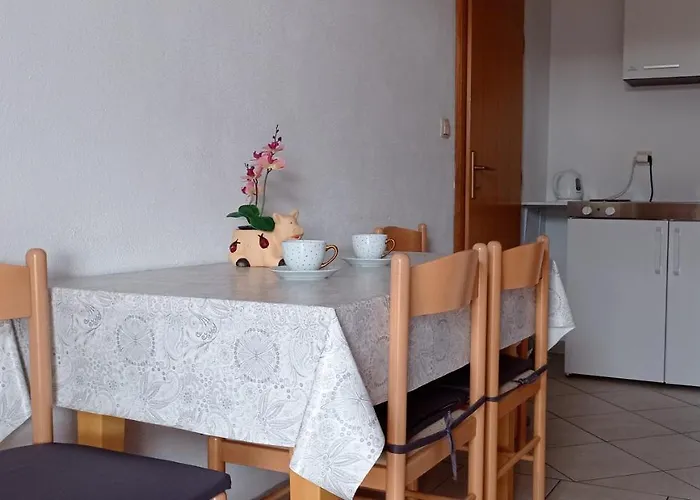 Barisic 招待所 特罗吉尔