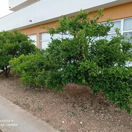 Πανσιόν Barisic Τρογκίρ