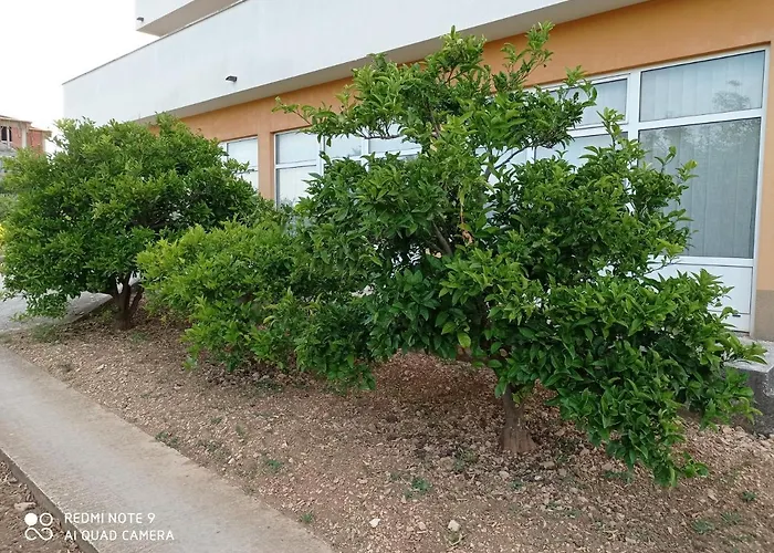 Πανσιόν Barisic Τρογκίρ